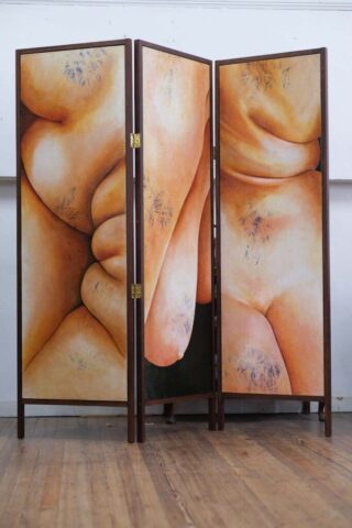 kamerscherm